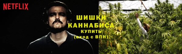 MDMA Новодвинск