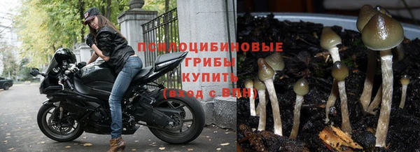 мдпв Нея