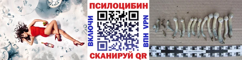 mega как войти Козельск Галлюциногенные грибы прущие грибы