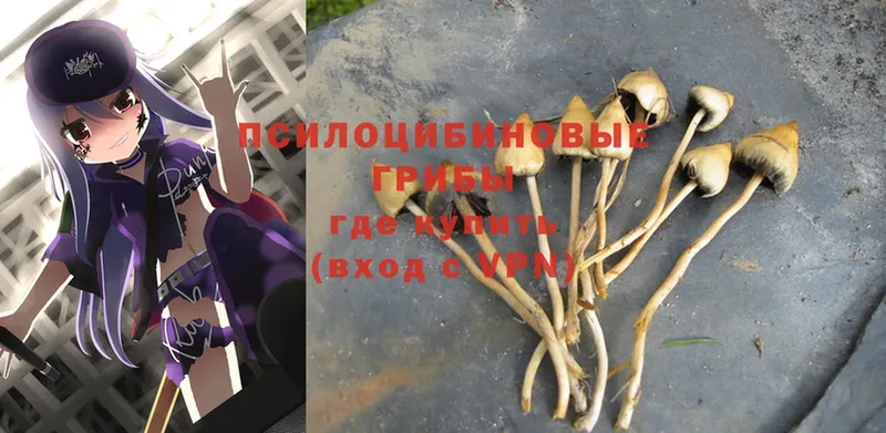 Галлюциногенные грибы Magic Shrooms  Козельск 